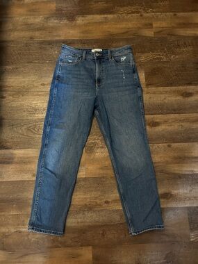 Abercrombie the Mom High Rise Jeans 28 6r